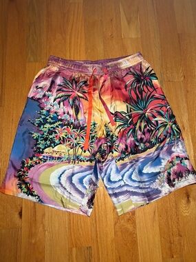 Dolce & Gabbana Silk Shorts, NWOT